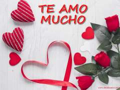Imágenes Te Amo
